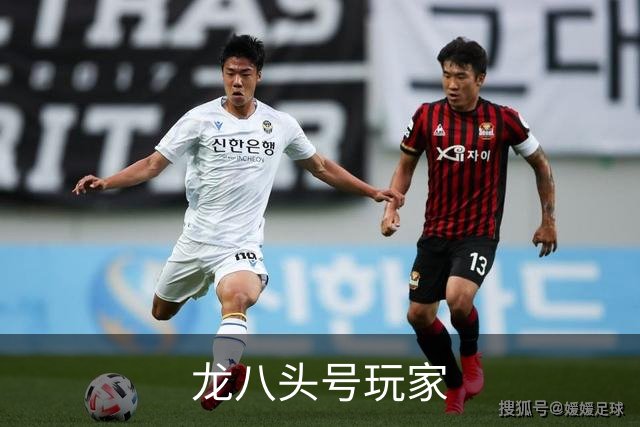 龙八头号玩家公司简介图片